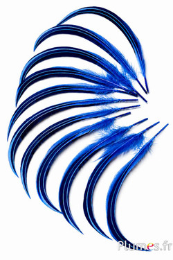 Anatra Mandarin - 15-20 cm - blu